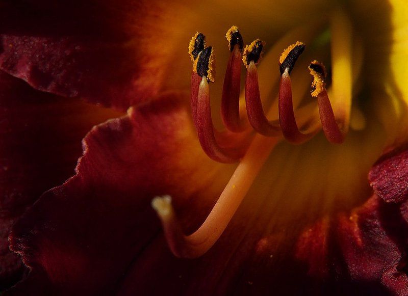 - * - * - фото превью