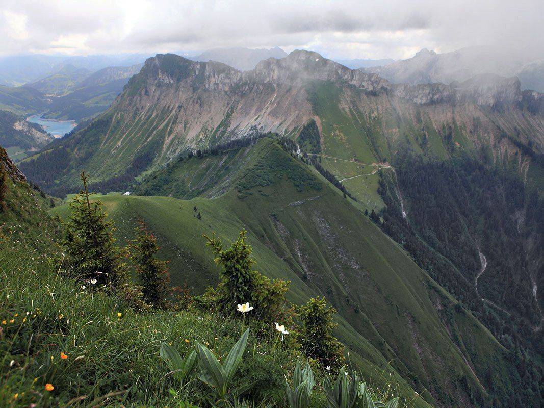 швейцария, Матвеев Николай