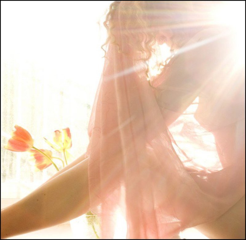 paradise фото превью