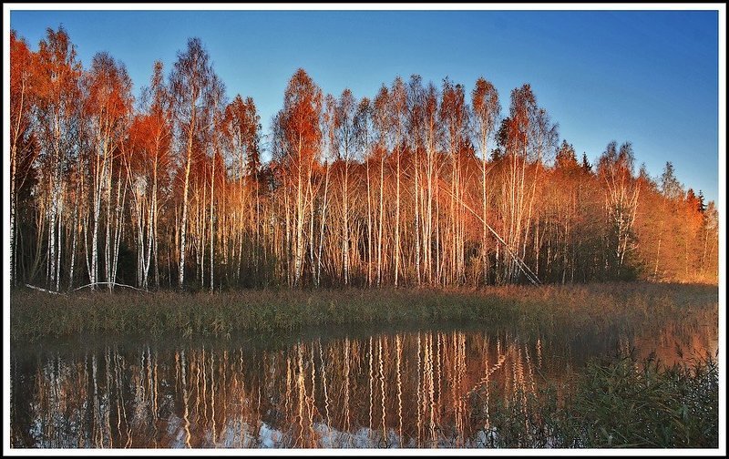 utro... фото превью
