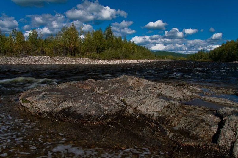 тайга, пейзажи, август 2010, софийск, хабаровский край Тайга фото превью