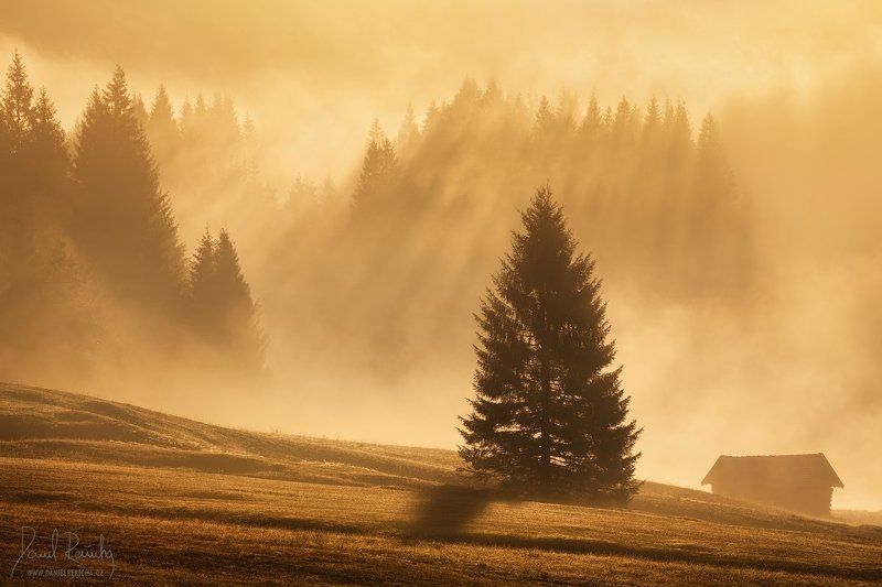 Germany, Deutschland, Bavaria, Bayern, Werdenfelser Land, Bayerisches Oberland, Garmisch-Partenkirchen, Alpen, Alps, Gerold, Geroldsee, Wagenbrüchsee, Karwendel, Krün, Mittenwald, Garmisch, Werdenfels, Europe, travel, lake, see, autumn,  rays, autumn land Bavaria... фото превью