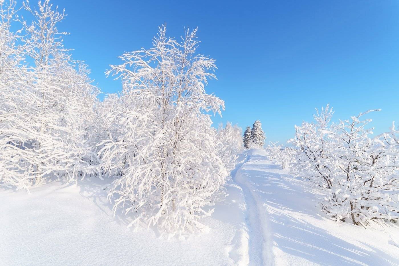 печора,коми,север,снег,зима, Игорь Подобаев