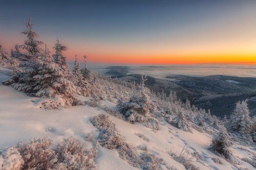 Another New Day