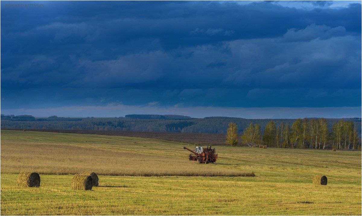 Кутыгин, Зауралье, уборочная, Курганская, стога, солома, сено, Комбайн, Кутыгин Эдуард