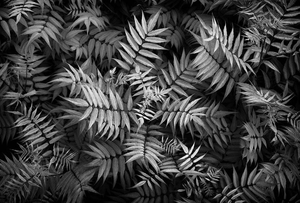 , Сергей Фудиненко