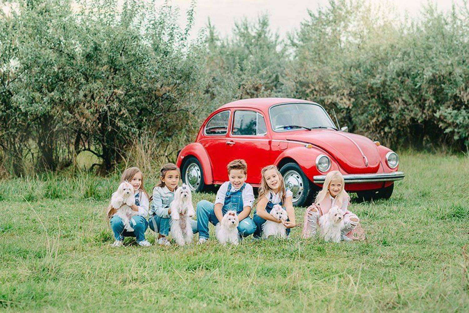 дети, ребенок, животное, зверь, семья, болонка, машина, улица, лето, каникулы, природа, Власко Алена