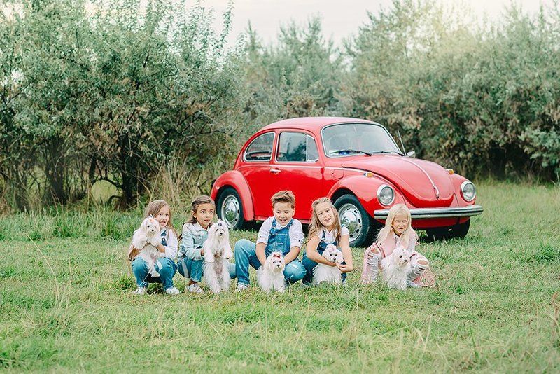 дети, ребенок, животное, зверь, семья, болонка, машина, улица, лето, каникулы, природа *** фото превью