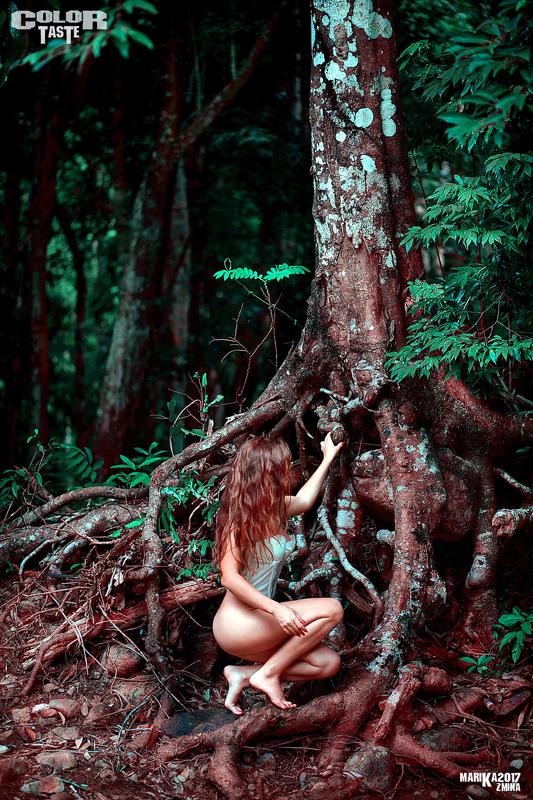 COLOR TASTE фото превью