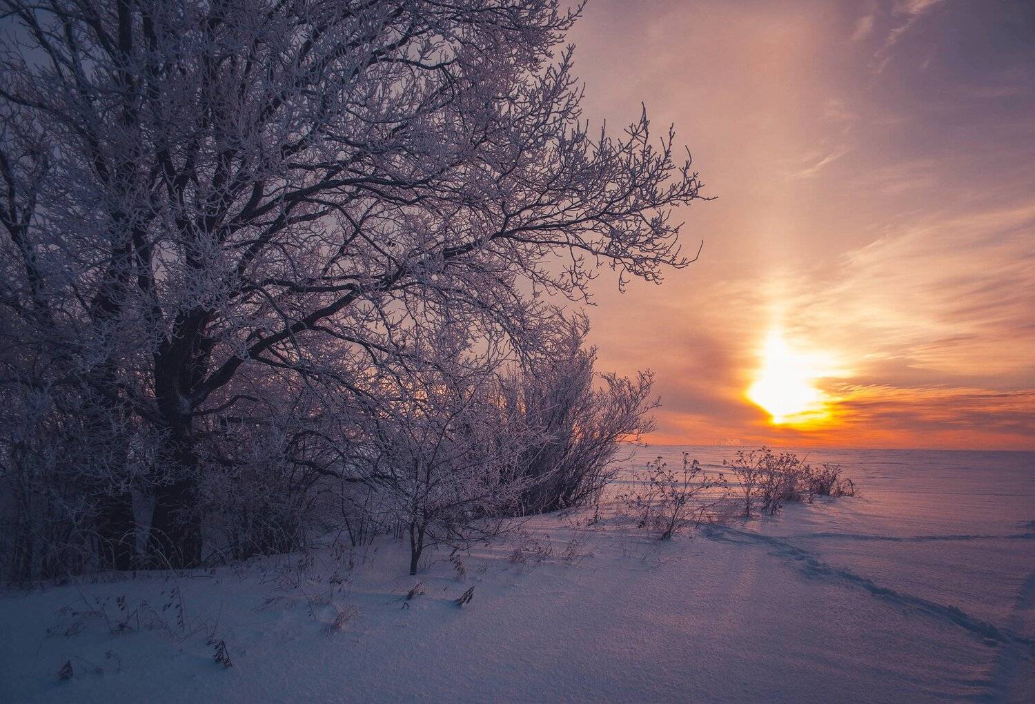 фото, природа, закат, лес, зима, Екатерина