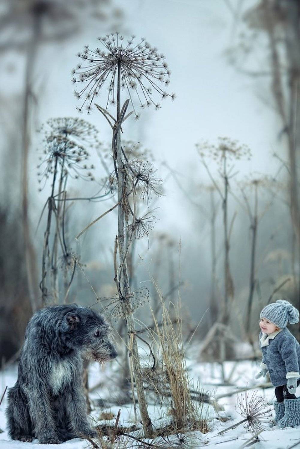 , Сапронова Ирина