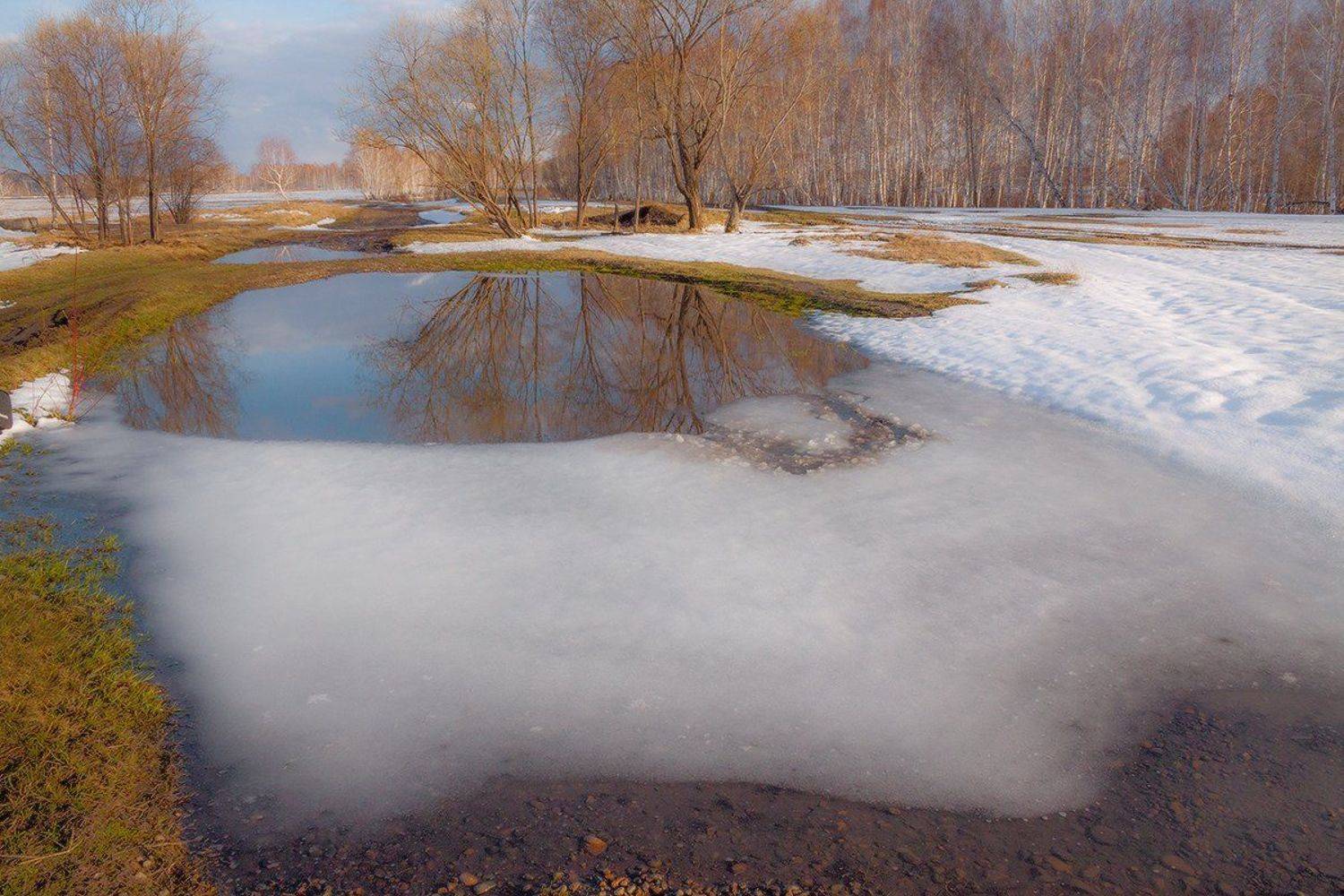 , Николай Морский