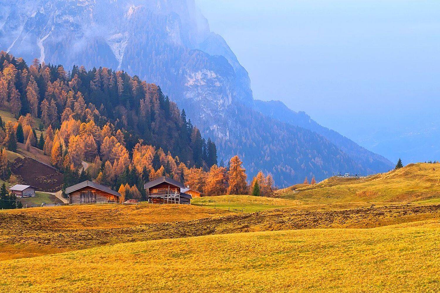 , Игорь Дубровский