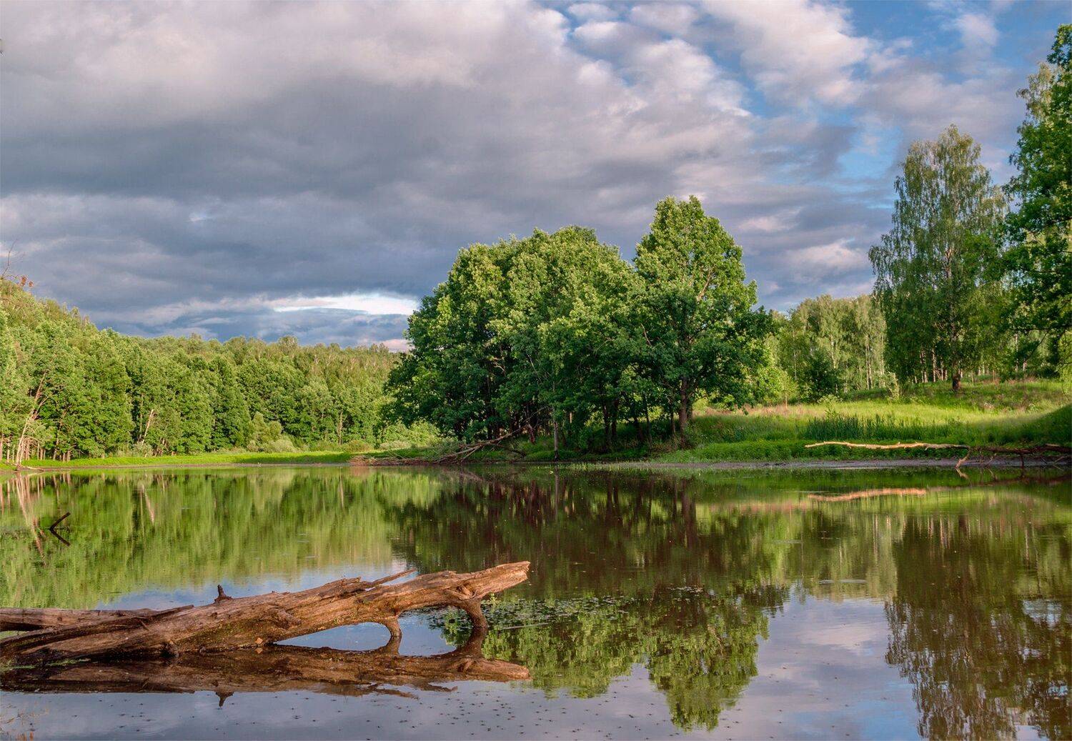 пейзаж.брянск, природа, Александр Березуцкий