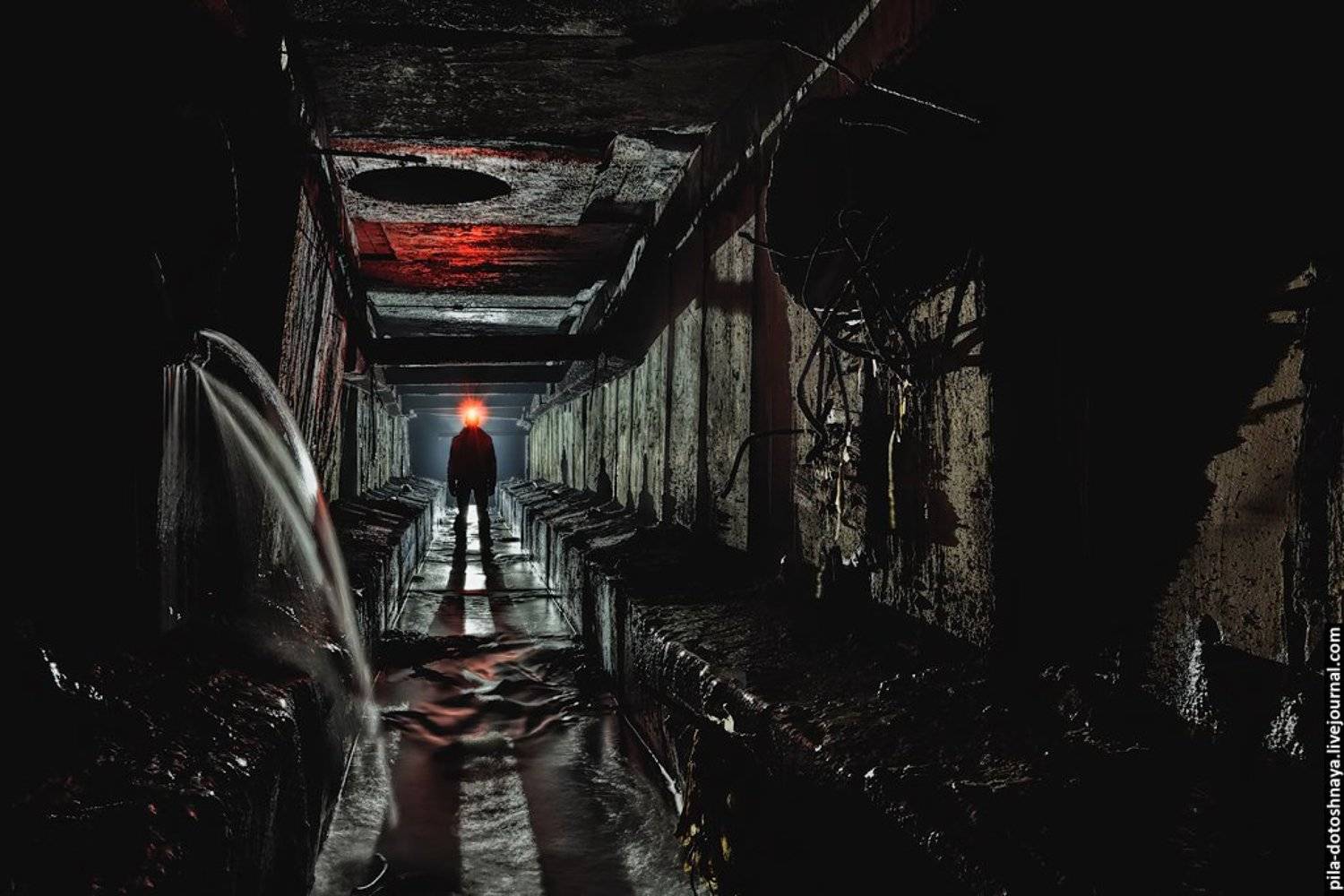 , Анна Аринова