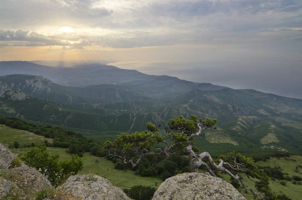 Крым, Южная Демерджи, Юсупов Александр