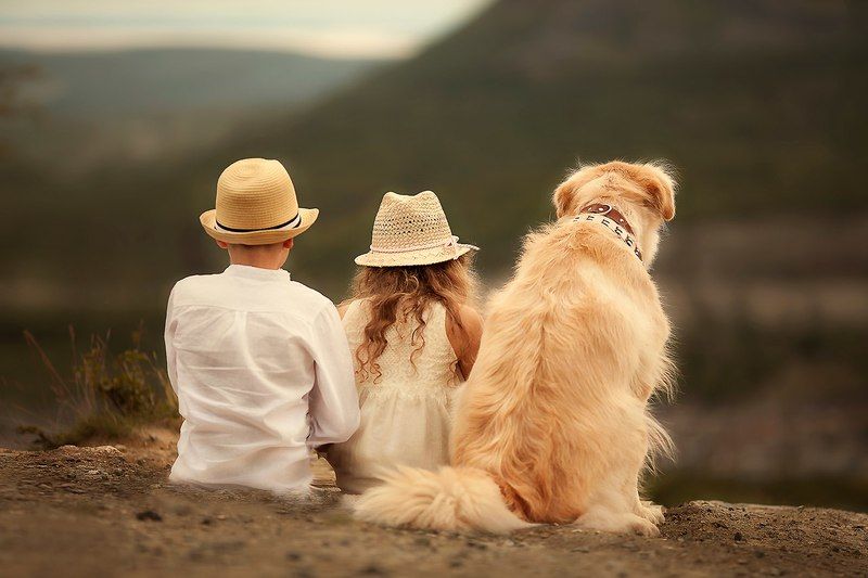 Друзья -мечтатели фото превью