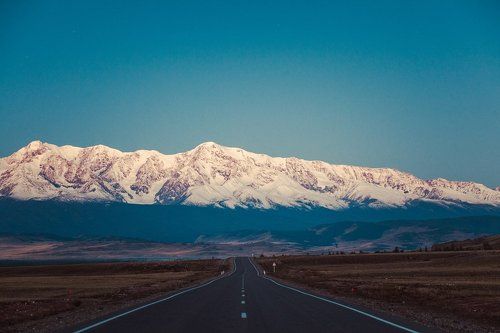 Курай