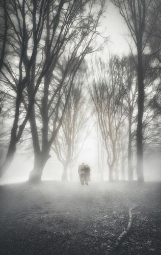 The long road of life..