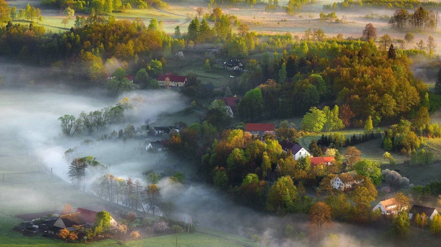 landscape,canon,mist,light,spring, Iza,Darek