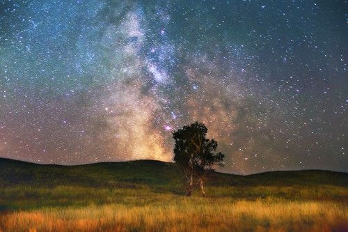 Только звёзды и тишина