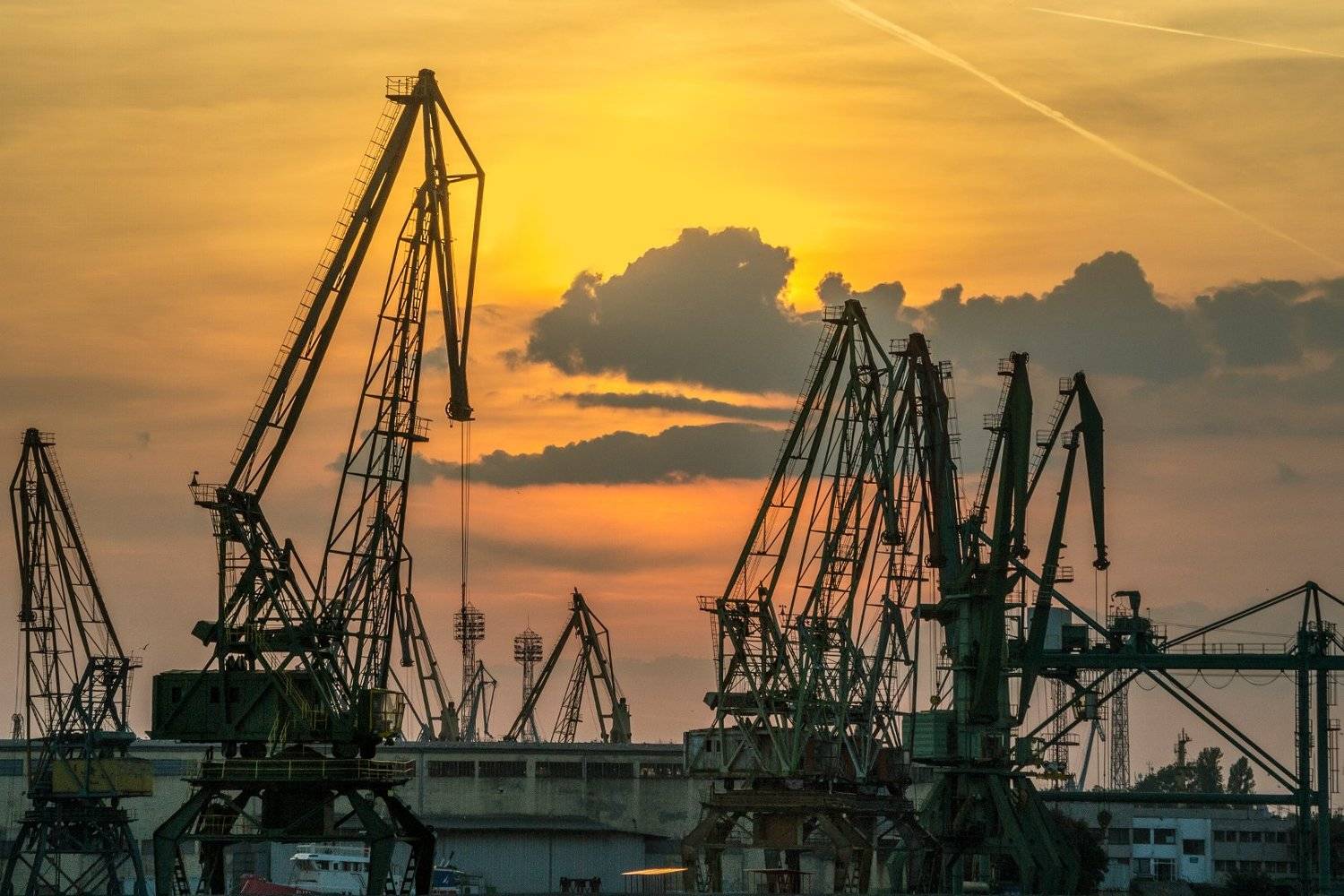 , Мартин Костадинов