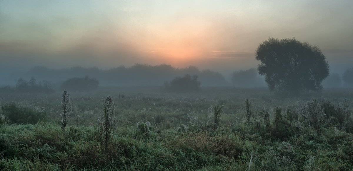 , Валерий Кондратов