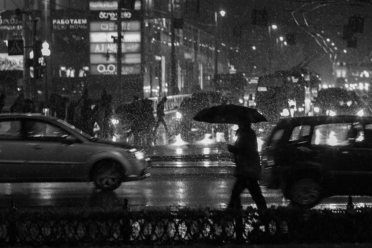 калининград, город, Алексей Шамашов