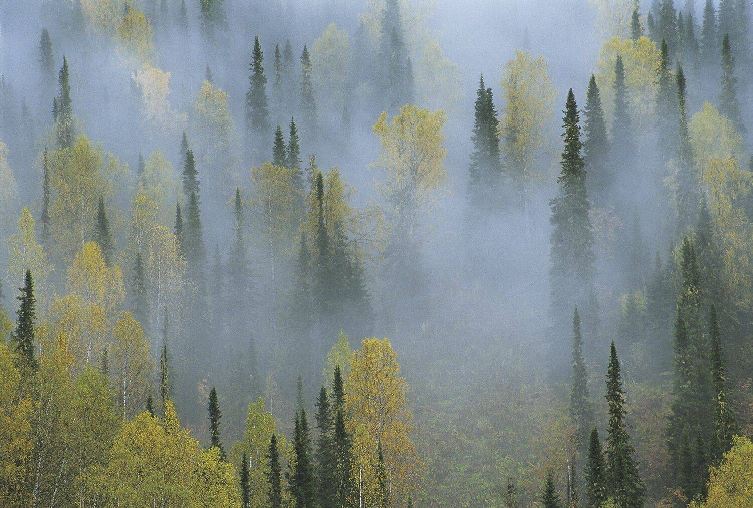 , Владимир Рябков