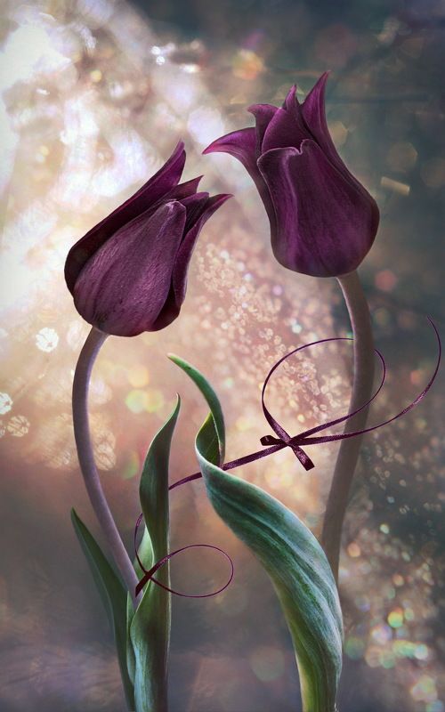 Праздник для двоих фото превью