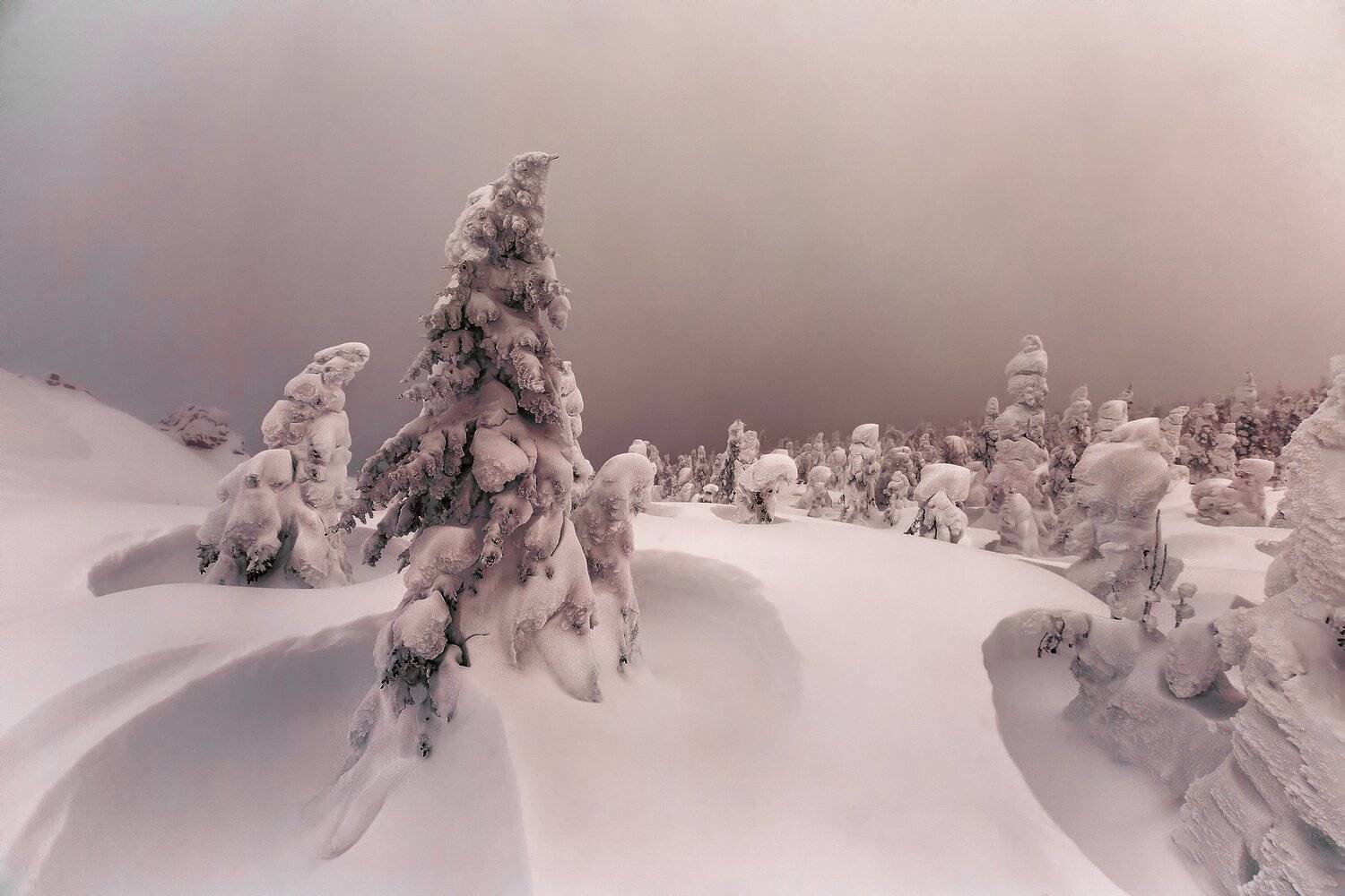 Таганай, Дальний Таганай, Владимир