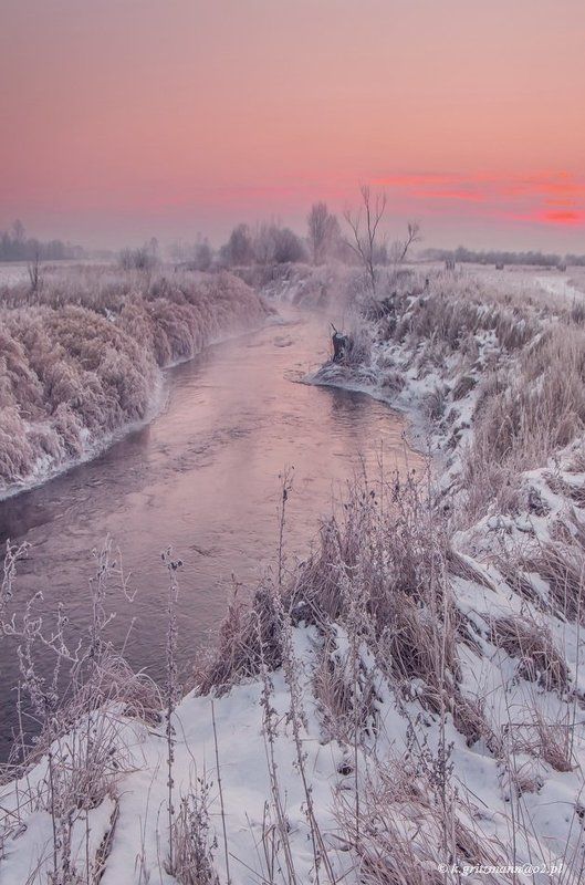 colors of the winter ... фото превью