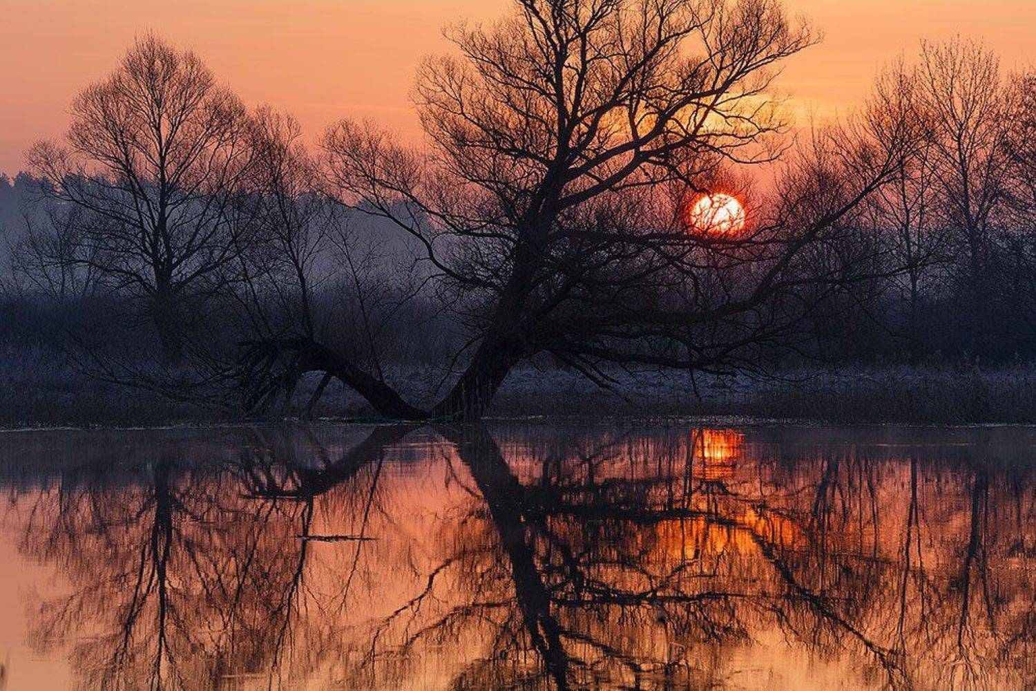 , Юрий Сорокин