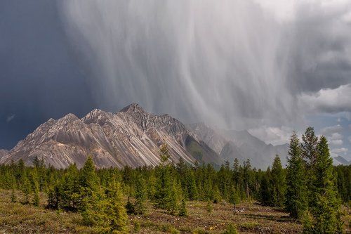 Сразу после грозы.