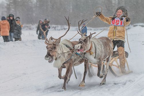 Гонки