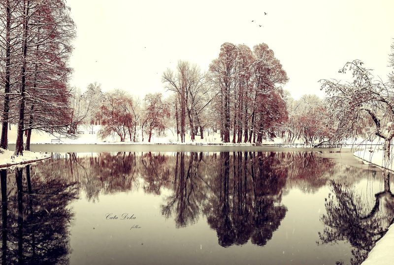 Frozen Lake фото превью