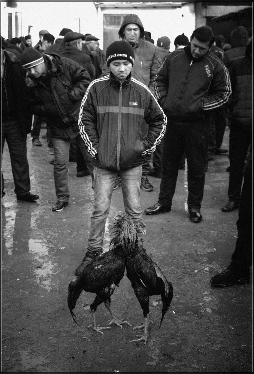 , Ильдар Садыков