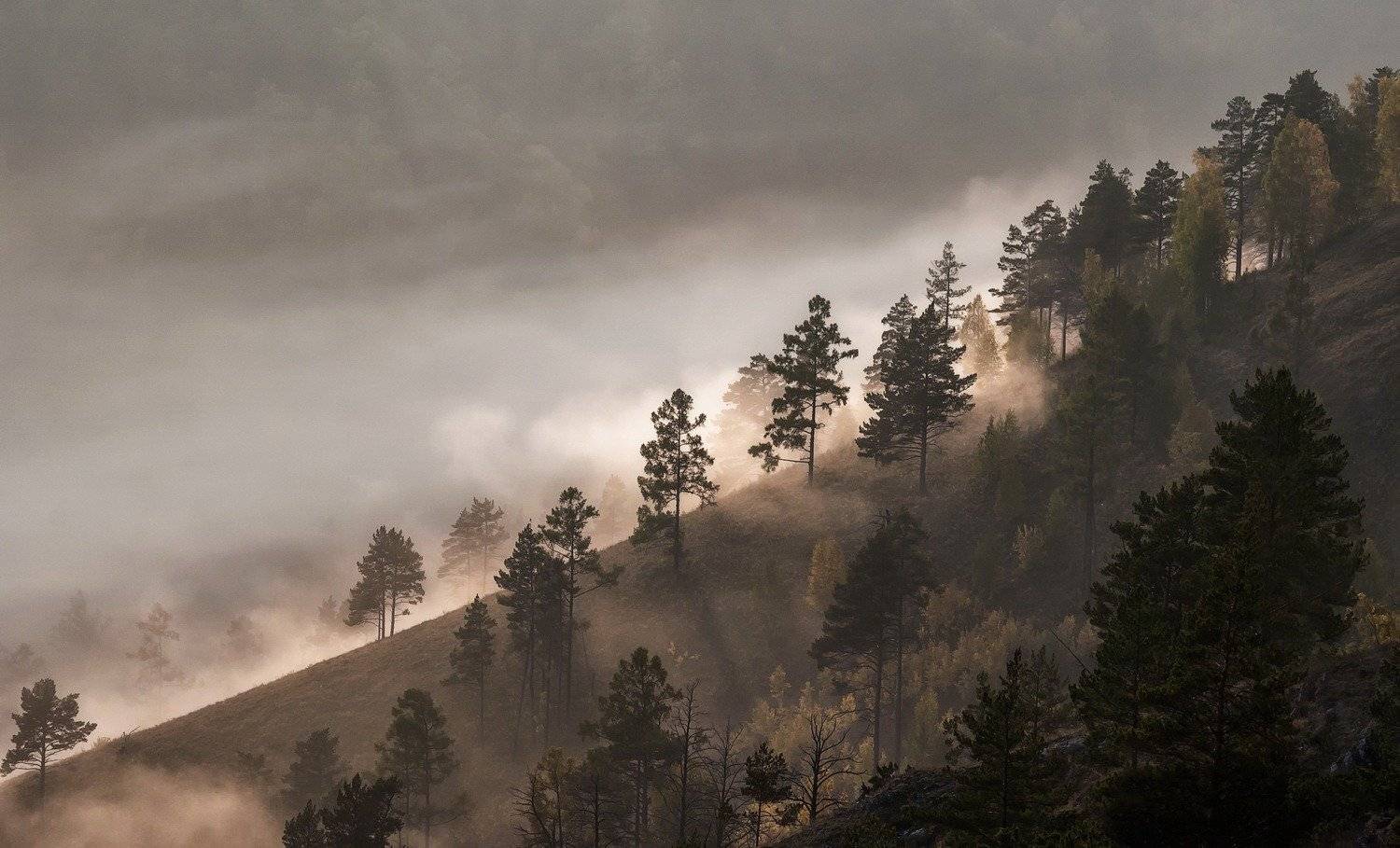 , Марина Фомина