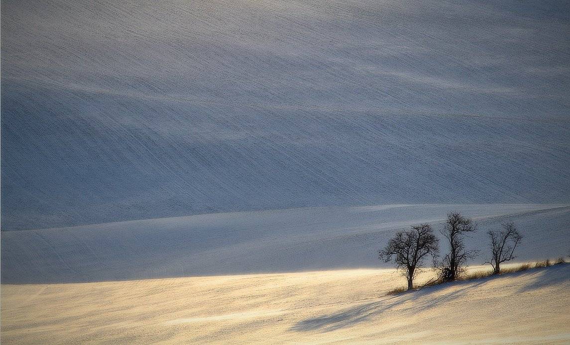 canon moravia, Franti&scaron;ek Uhler