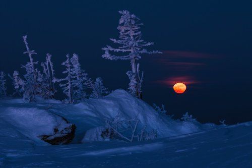 Клубника со сливками
