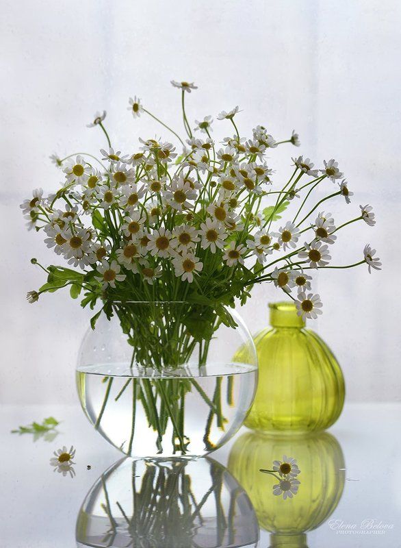 натюрморт, цветы Утро... фото превью