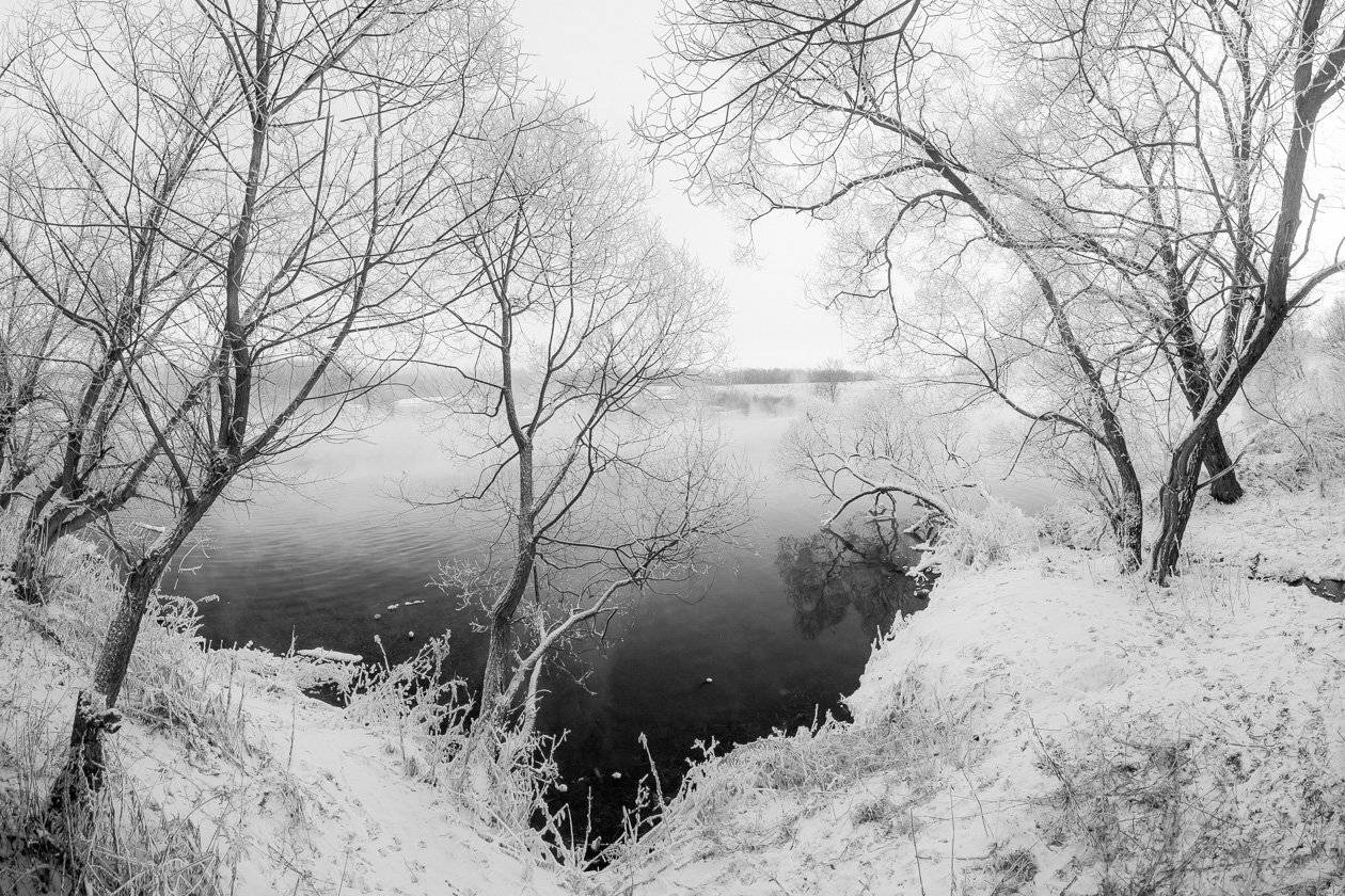 , Алексей Горохов