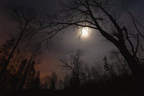 Alone in the Dark