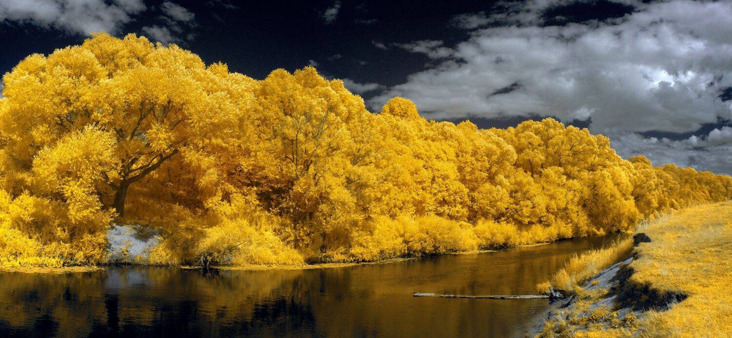 infrared,ик-фото,инфракрасное фото,инфракрасная фотография,пейзаж,природа,беларусь,лето, Sixten ( Сергей )