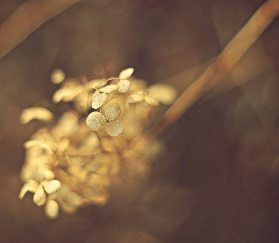 , Krzysztof Trojanowski