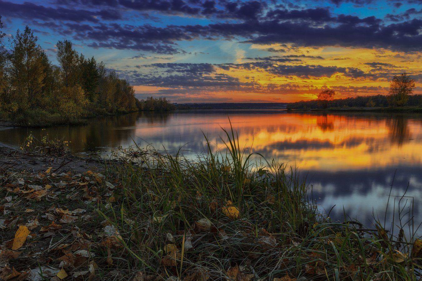 кама, Марат Кучкаев