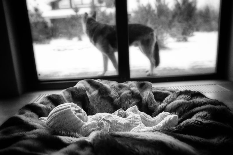 домашняя съемка,семейная фотосъемка на страже фото превью