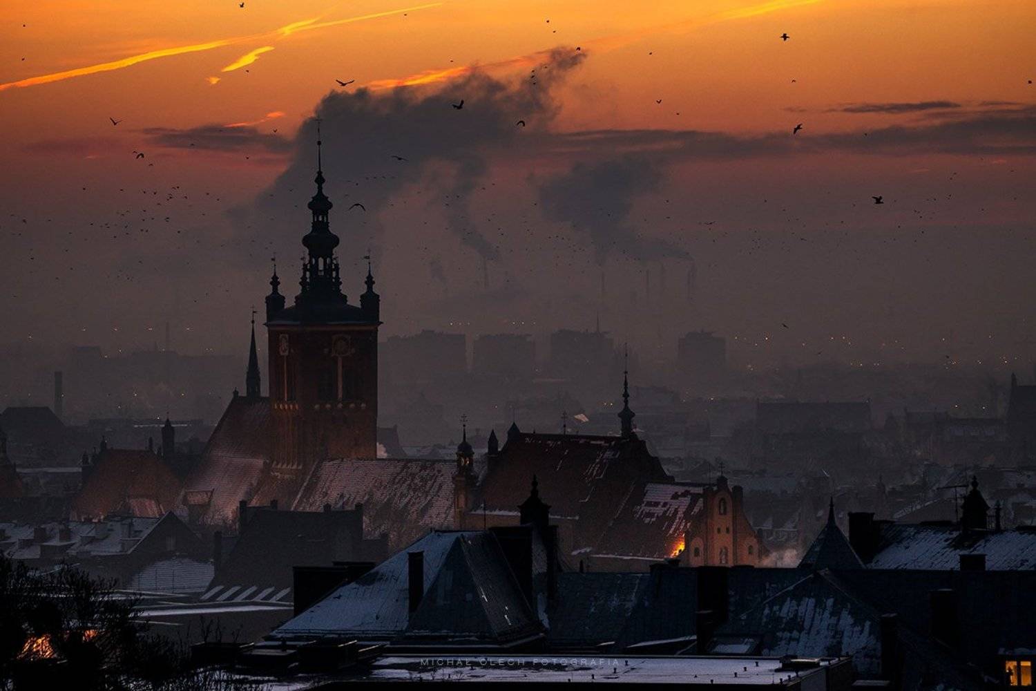 gdansk, gdańsk, poland, гданьск, польша, Michał Olech