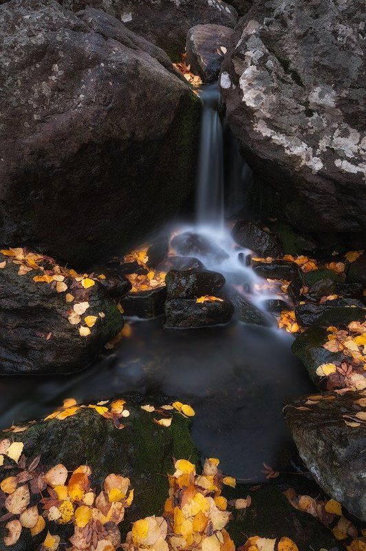 вода, осень, ручей, листья, желтые, камни, урал, горы, башкирия  фото превью