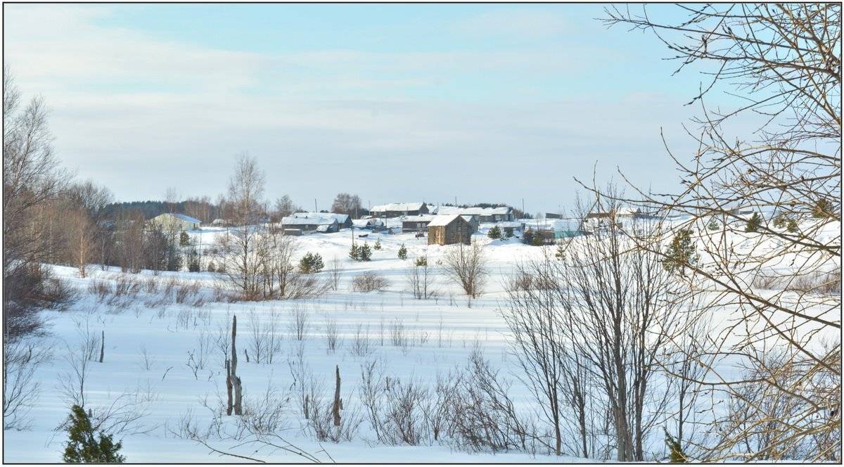 , Марина Никулина